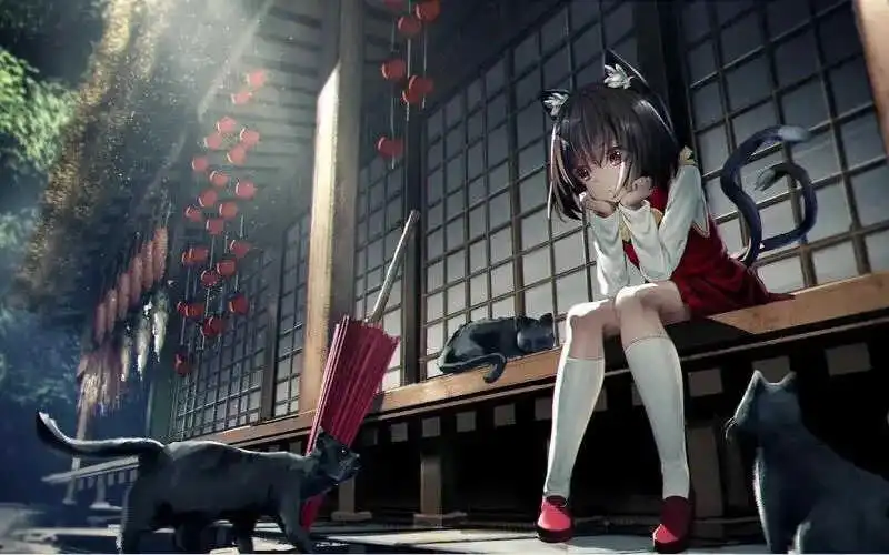 西檬之家k8猫系究竟是什么？带你揭开字母圈新潮流的面纱 一