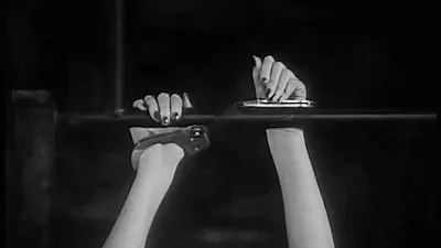 西檬之家恋足癖：解密这个字母圈的独特魅力与心理动机 一