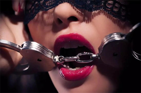 西檬之家k9犬系：理解与实践的全面指南 一