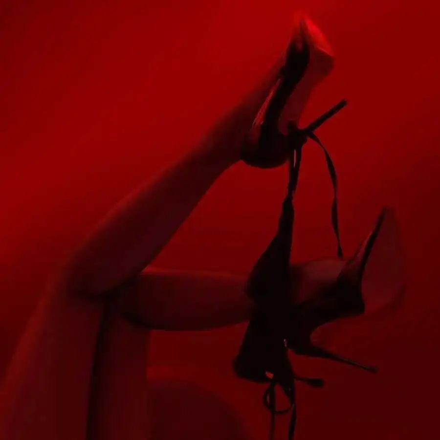 西檬之家s属性解析：2025年字母圈新手必读指南 一