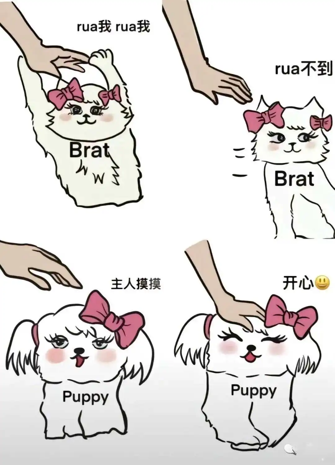 西檬之家s属性揭秘：你了解字母圈中的s与M关系吗？ 一